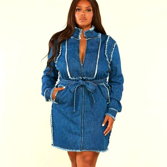 ❤️NEW L’ATISTE BY AMY PLUS SIZE MINI DENIM DRESSES - Picture 3 of 11